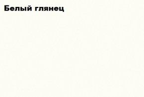 АСТИ МС ПЛ-002 (Белый глянец/белый) в Нижней Туре - nizhnyaya-tura.germes-mebel.ru | фото