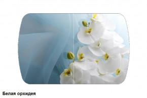 Стол Бостон 2 (1100*700) опоры Брифинг (Стекло/фотопечать Белая орхидея) в Нижней Туре - nizhnyaya-tura.germes-mebel.ru | фото